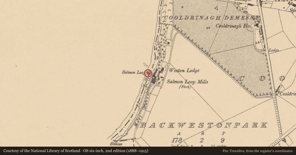 Ordnance Survey six-inch map, 2nd edition (1888–1915) covering the location of Bridge, Leixlip Demesne, County Kildare, with a pin at the register's coordinates
