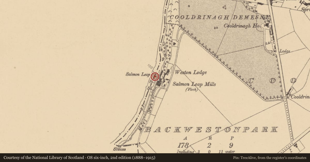 Ordnance Survey six-inch map, 2nd edition (1888–1915) covering the location of Weir - fish, Leixlip Demesne, County Kildare, with a pin at the register's coordinates