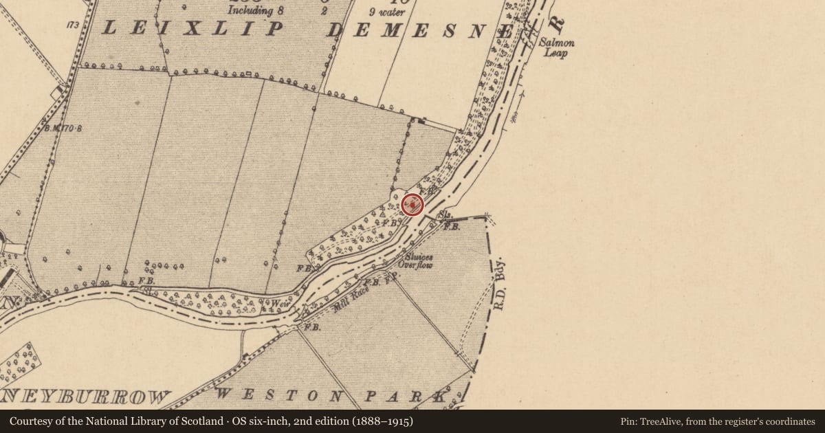 Ordnance Survey six-inch map, 2nd edition (1888–1915) covering the location of Mound, Leixlip Demesne, County Kildare, with a pin at the register's coordinates