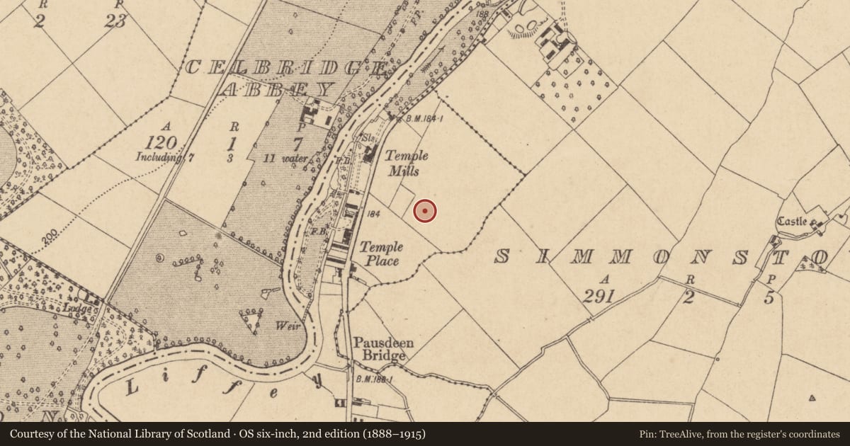 Ordnance Survey six-inch map, 2nd edition (1888–1915) covering the location of Castle - tower house, Newtown, County Kildare, with a pin at the register's coordinates