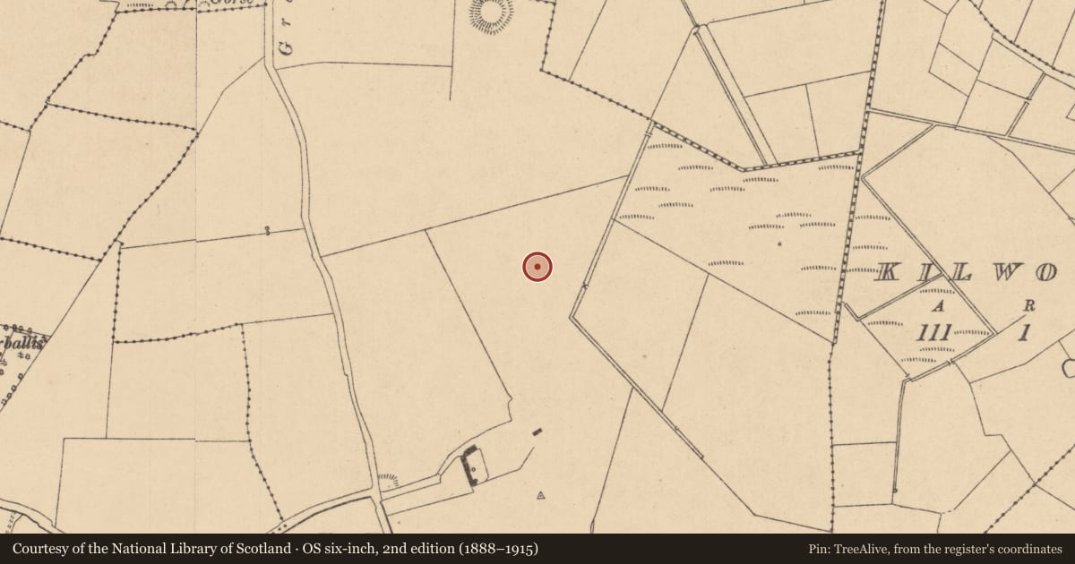 Ordnance Survey six-inch map, 2nd edition (1888–1915) covering the location of Moated site, Griffinrath, County Kildare, with a pin at the register's coordinates