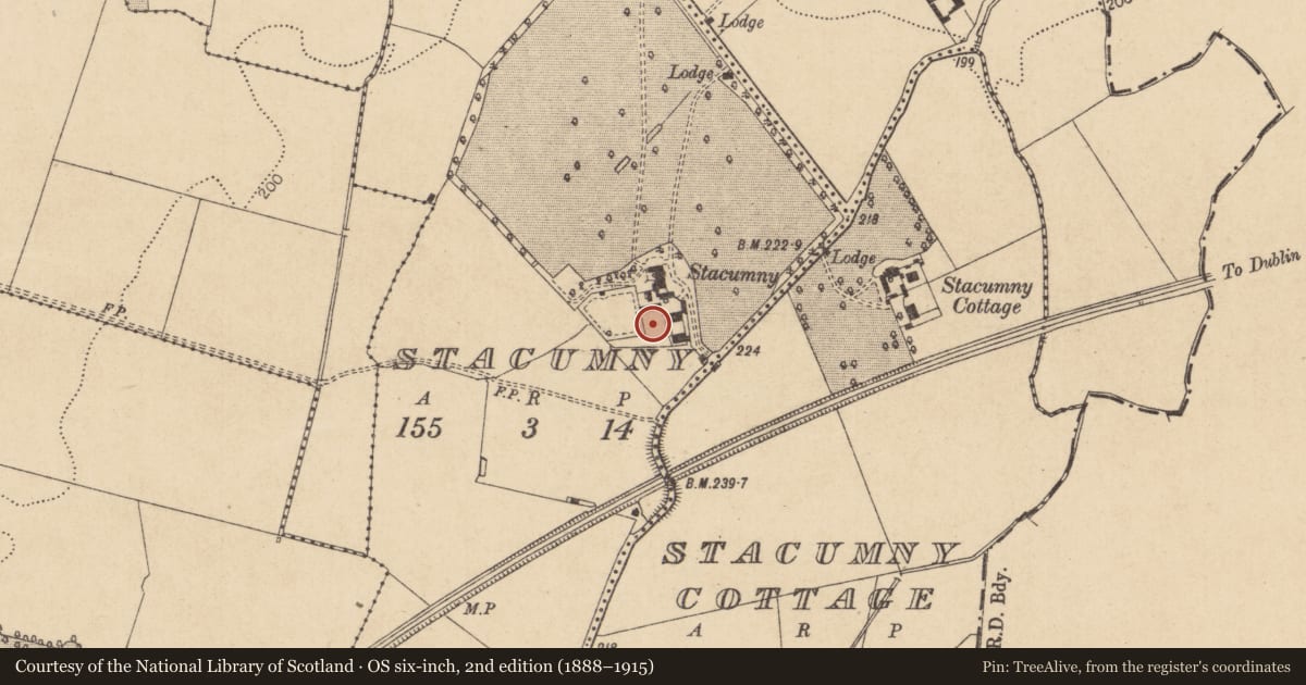 Ordnance Survey six-inch map, 2nd edition (1888–1915) covering the location of Graveyard, Stacumny, County Kildare, with a pin at the register's coordinates