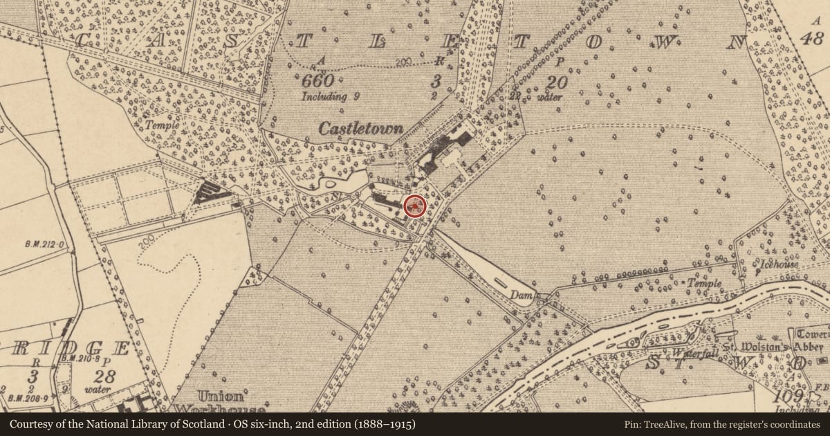Ordnance Survey six-inch map, 2nd edition (1888–1915) covering the location of Castle - unclassified, Castletown, County Kildare, with a pin at the register's coordinates