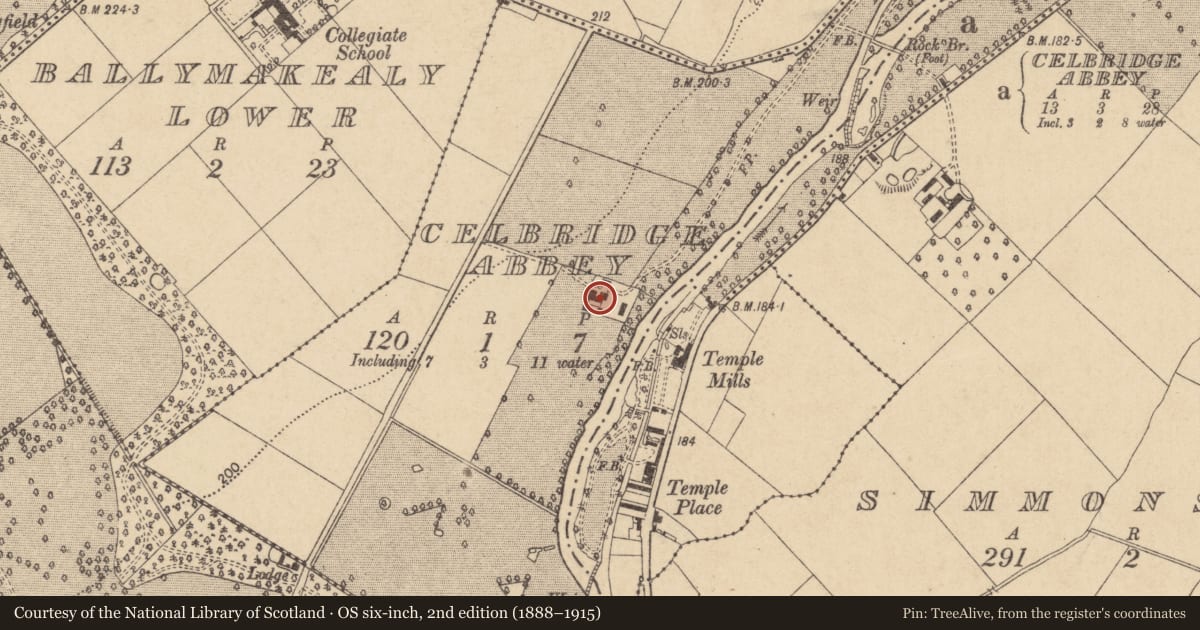 Ordnance Survey six-inch map, 2nd edition (1888–1915) covering the location of House - 17th century, Celbridge Abbey, County Kildare, with a pin at the register's coordinates