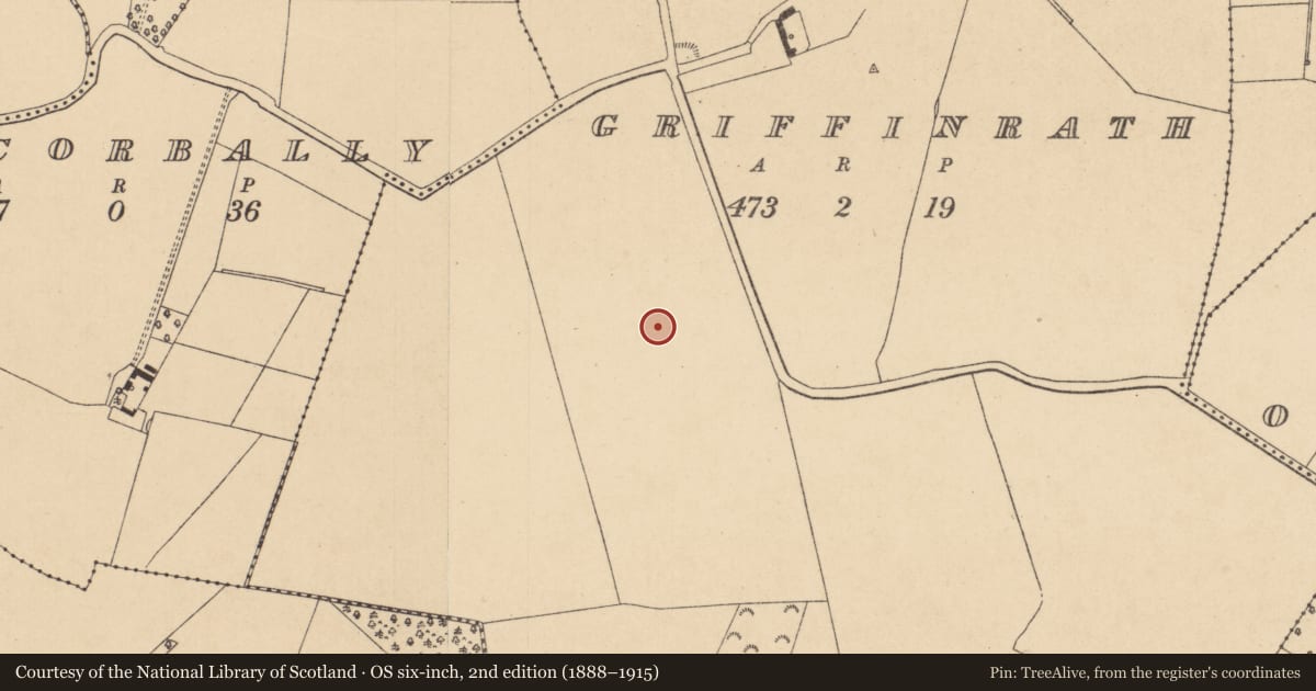 Ordnance Survey six-inch map, 2nd edition (1888–1915) covering the location of Enclosure, Griffinrath, County Kildare, with a pin at the register's coordinates