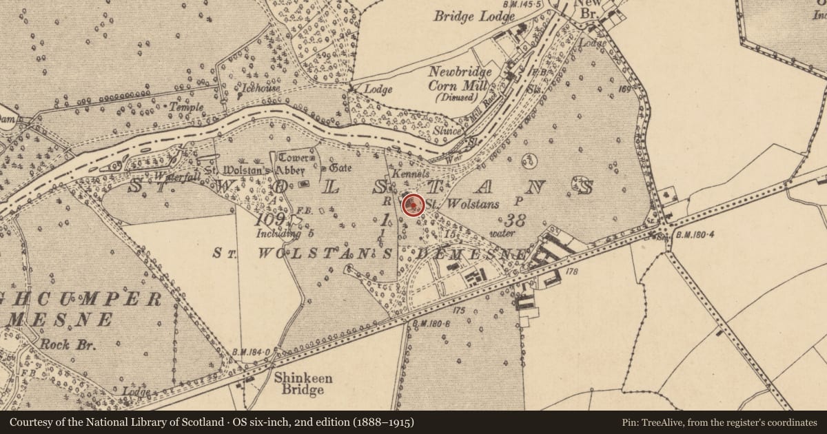 Ordnance Survey six-inch map, 2nd edition (1888–1915) covering the location of House - 17th century, St. Wolstans, County Kildare, with a pin at the register's coordinates