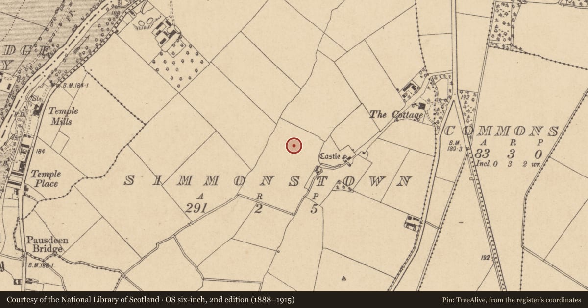 Ordnance Survey six-inch map, 2nd edition (1888–1915) covering the location of Enclosure, Simmonstown, County Kildare, with a pin at the register's coordinates