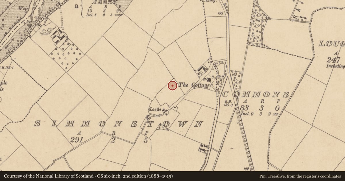 Ordnance Survey six-inch map, 2nd edition (1888–1915) covering the location of Enclosure, Simmonstown, County Kildare, with a pin at the register's coordinates