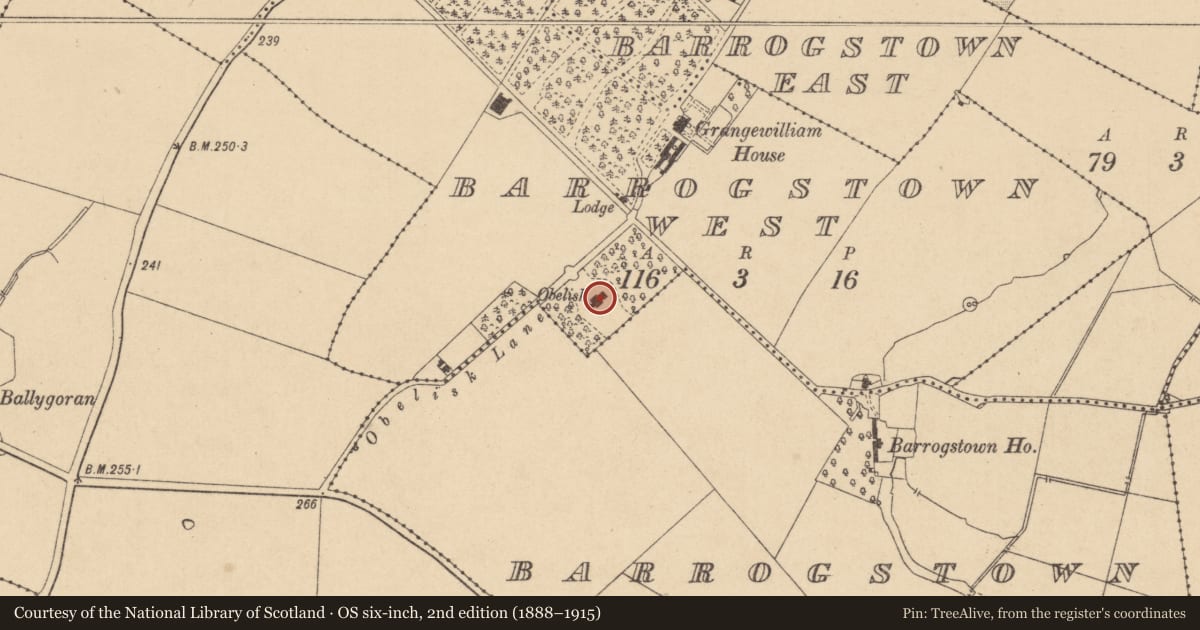 Ordnance Survey six-inch map, 2nd edition (1888–1915) covering the location of Designed landscape - folly, Barrogstown West, County Kildare, with a pin at the register's coordinates