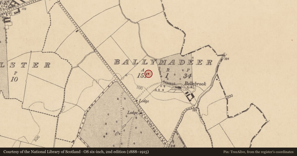 Ordnance Survey six-inch map, 2nd edition (1888–1915) covering the location of Excavation - miscellaneous, Ballymadeer, County Kildare, with a pin at the register's coordinates
