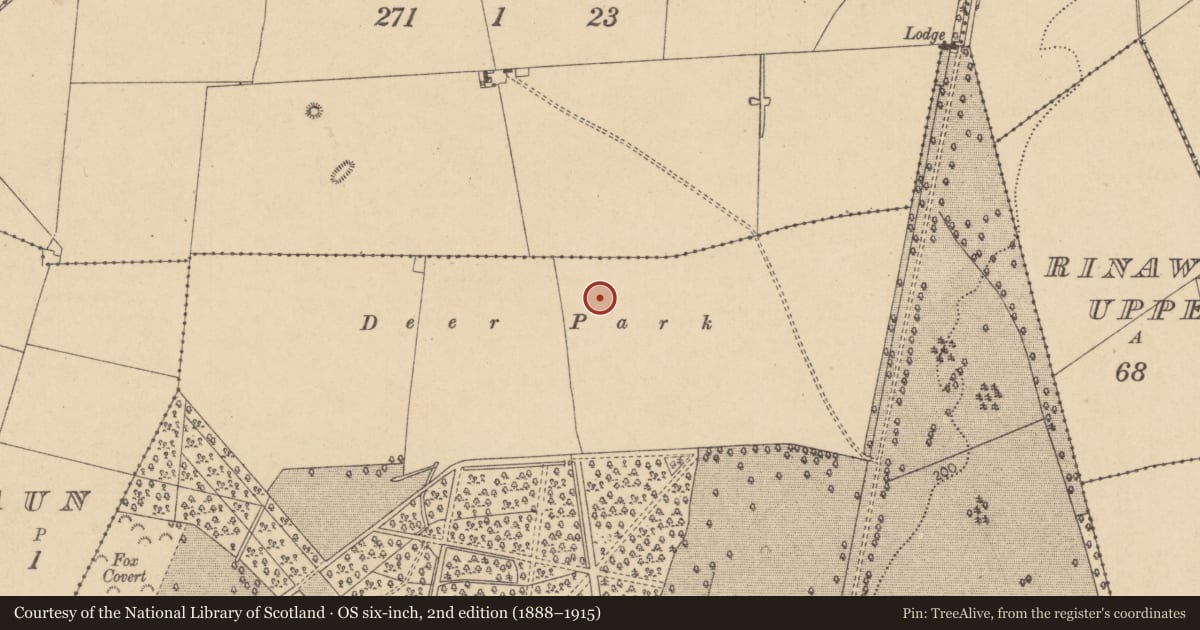 Ordnance Survey six-inch map, 2nd edition (1888–1915) covering the location of Ring-ditch, Castletown, County Kildare, with a pin at the register's coordinates