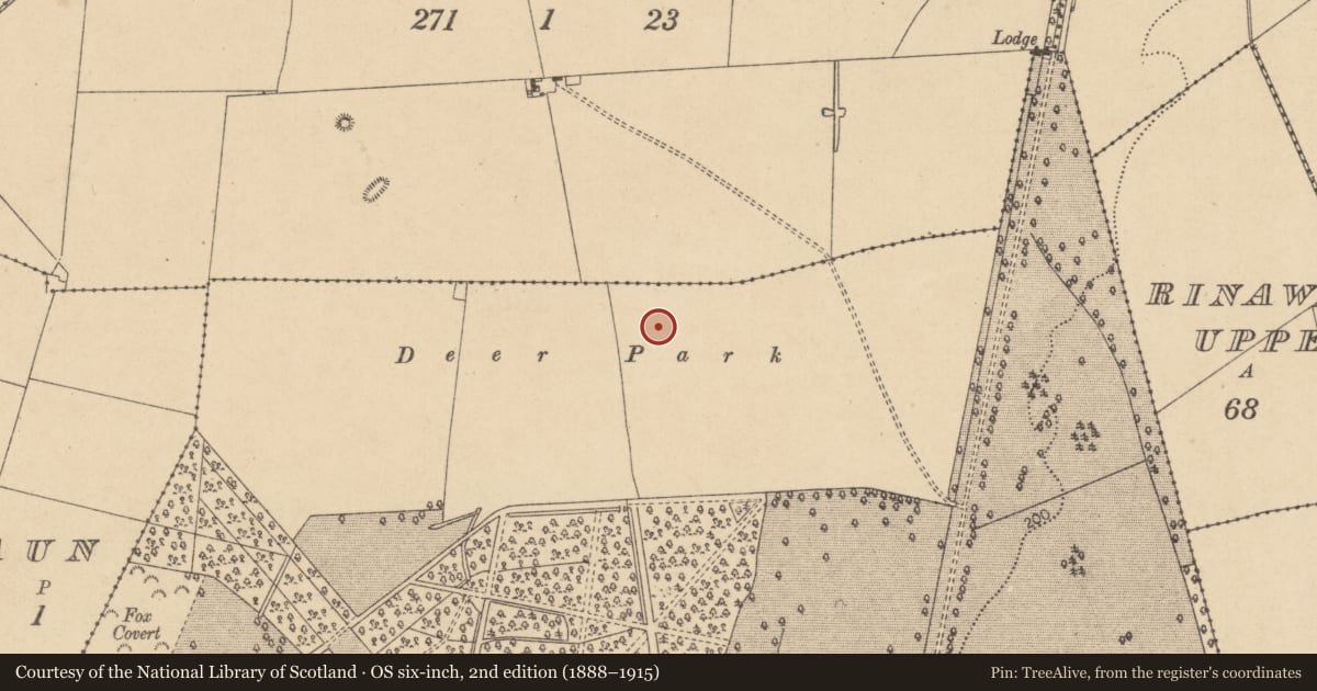 Ordnance Survey six-inch map, 2nd edition (1888–1915) covering the location of Kiln - corn-drying, Castletown, County Kildare, with a pin at the register's coordinates