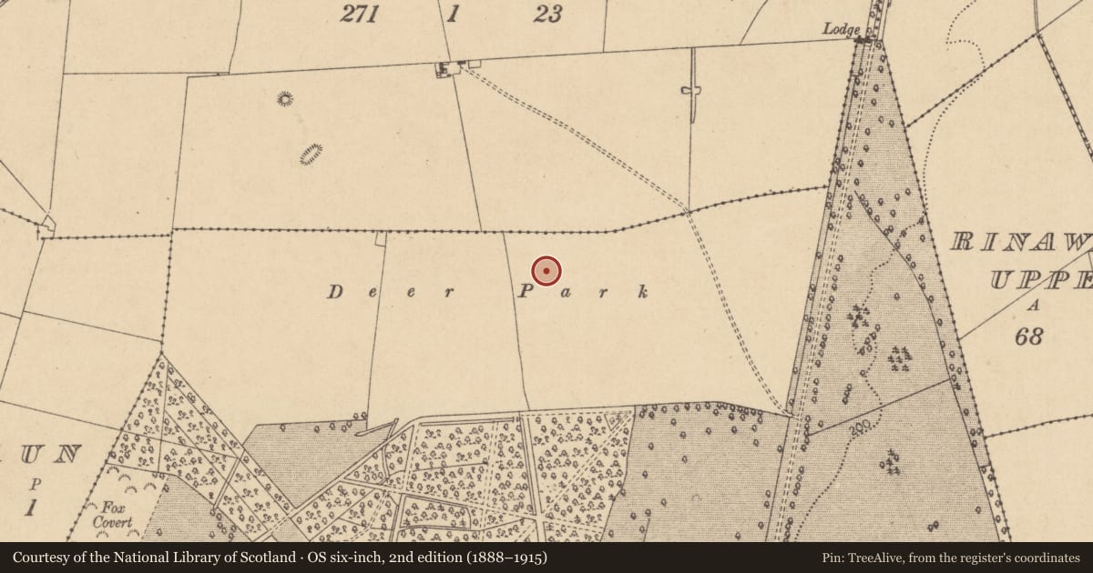 Ordnance Survey six-inch map, 2nd edition (1888–1915) covering the location of Enclosure, Castletown, County Kildare, with a pin at the register's coordinates
