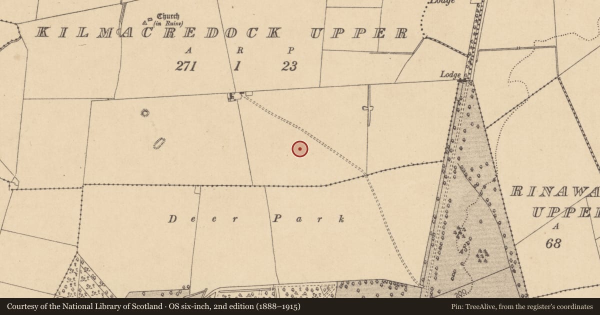 Ordnance Survey six-inch map, 2nd edition (1888–1915) covering the location of Habitation site, Kilmacredock Upper, County Kildare, with a pin at the register's coordinates