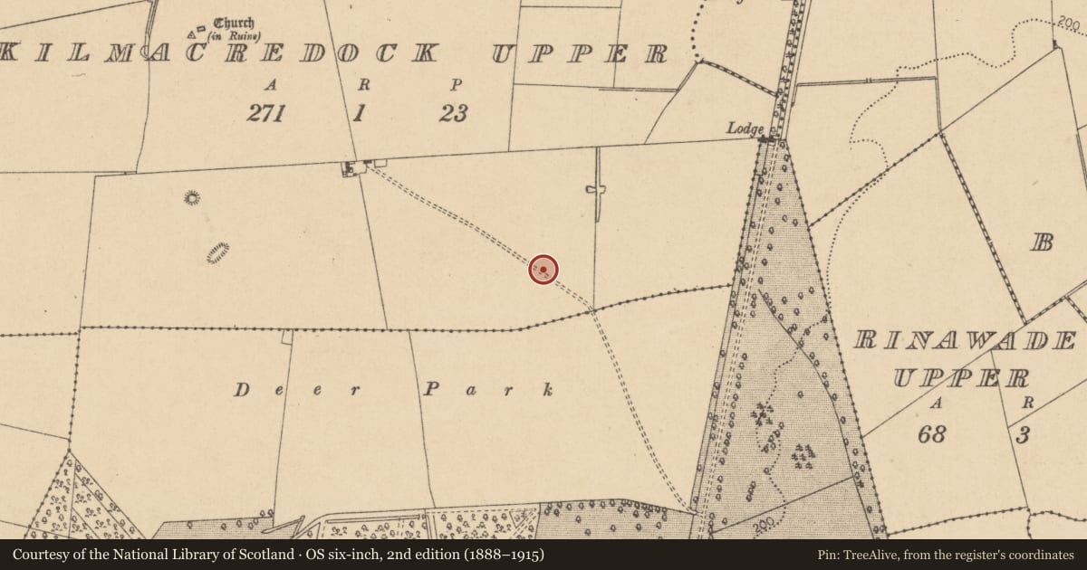 Ordnance Survey six-inch map, 2nd edition (1888–1915) covering the location of Burnt mound, Kilmacredock Upper, County Kildare, with a pin at the register's coordinates
