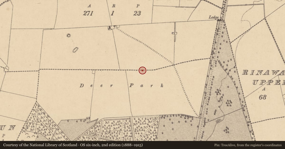 Ordnance Survey six-inch map, 2nd edition (1888–1915) covering the location of Kiln - corn-drying, Kilmacredock Upper, County Kildare, with a pin at the register's coordinates