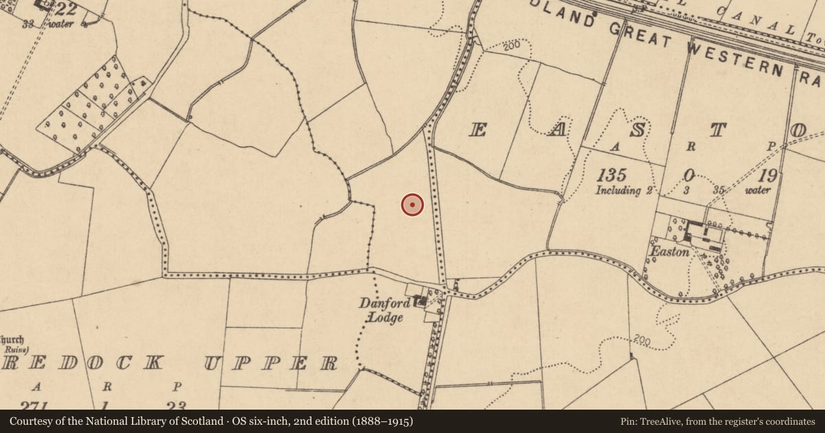 Ordnance Survey six-inch map, 2nd edition (1888–1915) covering the location of Habitation site, Collinstown, County Kildare, with a pin at the register's coordinates