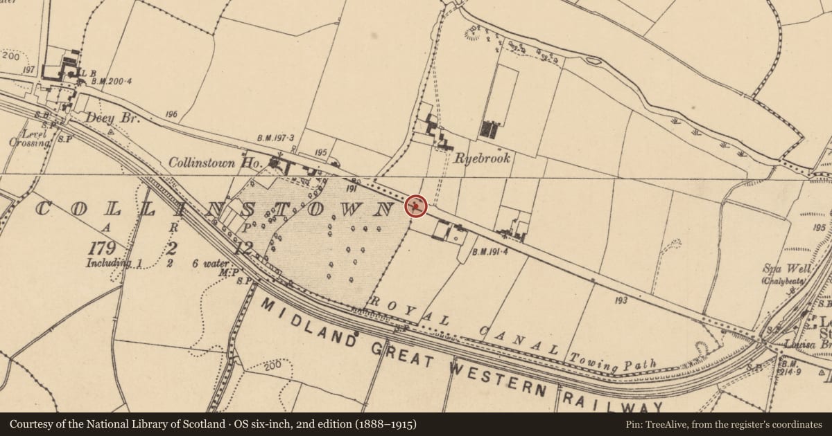 Ordnance Survey six-inch map, 2nd edition (1888–1915) covering the location of Habitation site, Collinstown, County Kildare, with a pin at the register's coordinates