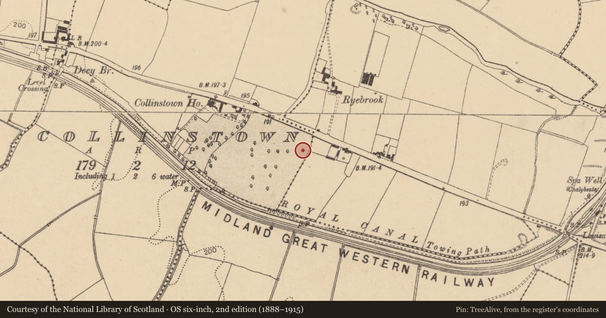 Ordnance Survey six-inch map, 2nd edition (1888–1915) covering the location of Excavation - miscellaneous, Collinstown, County Kildare, with a pin at the register's coordinates