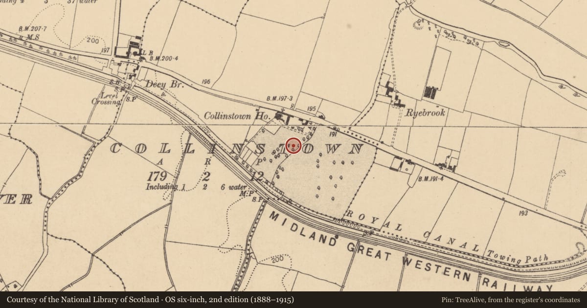 Ordnance Survey six-inch map, 2nd edition (1888–1915) covering the location of Kiln, Collinstown, County Kildare, with a pin at the register's coordinates