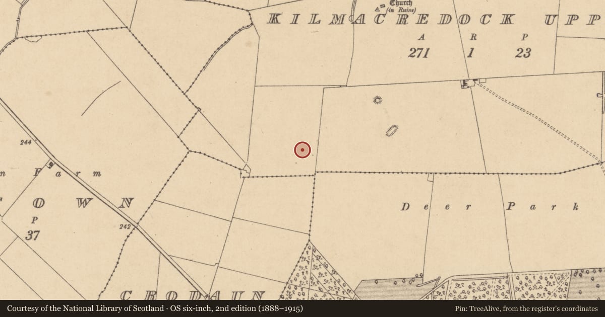 Ordnance Survey six-inch map, 2nd edition (1888–1915) covering the location of Habitation site, Kilmacredock Upper, County Kildare, with a pin at the register's coordinates