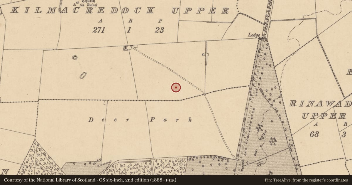 Ordnance Survey six-inch map, 2nd edition (1888–1915) covering the location of Habitation site, Kilmacredock Upper, County Kildare, with a pin at the register's coordinates