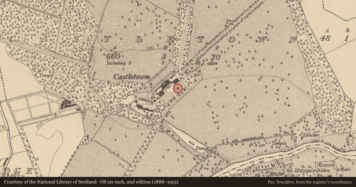 Ordnance Survey six-inch map, 2nd edition (1888–1915) covering the location of Pit-burial, Castletown, County Kildare, with a pin at the register's coordinates