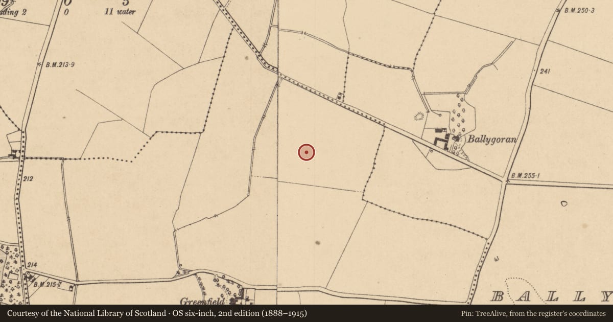 Ordnance Survey six-inch map, 2nd edition (1888–1915) covering the location of Furnace, Moneycooly, County Kildare, with a pin at the register's coordinates