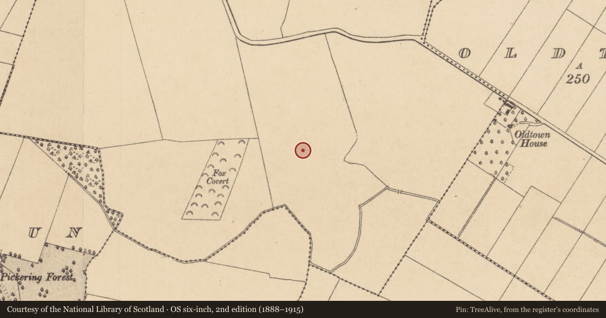 Ordnance Survey six-inch map, 2nd edition (1888–1915) covering the location of Moated site, Griffinrath, County Kildare, with a pin at the register's coordinates