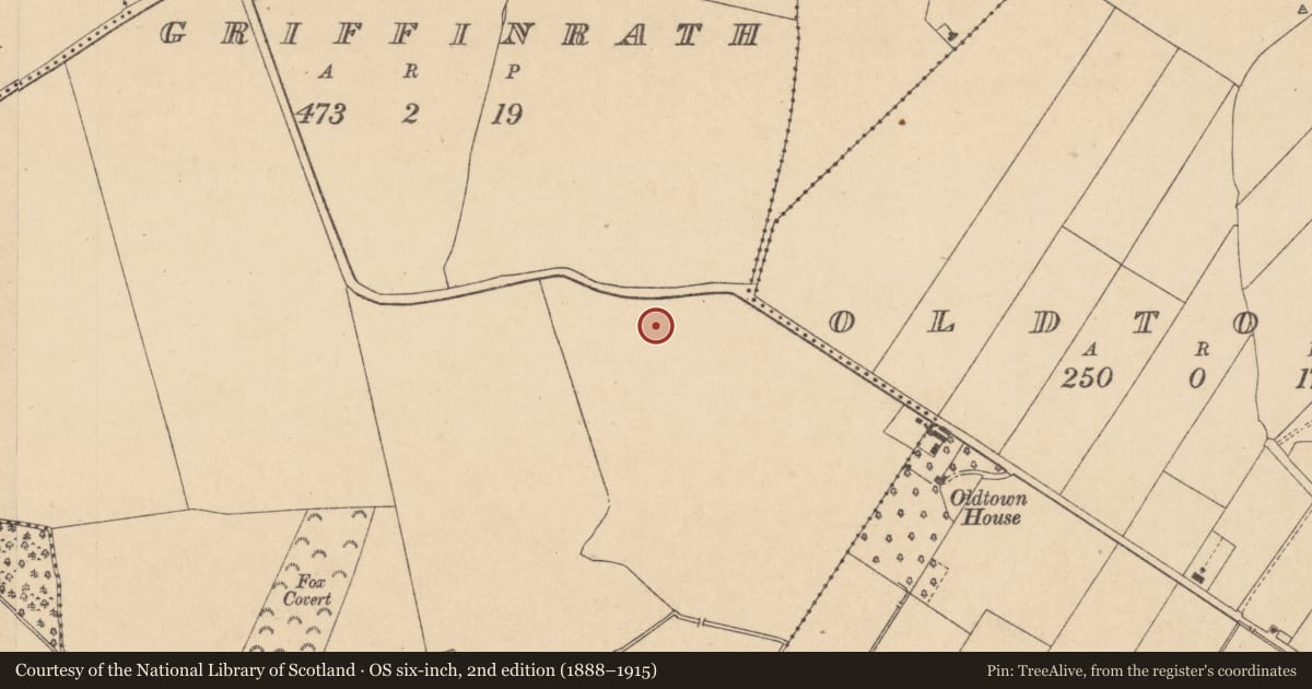 Ordnance Survey six-inch map, 2nd edition (1888–1915) covering the location of Enclosure, Griffinrath, County Kildare, with a pin at the register's coordinates