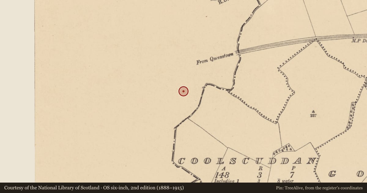 Ordnance Survey six-inch map, 2nd edition (1888–1915) covering the location of Enclosure, Stacumny Cottage, County Kildare, with a pin at the register's coordinates