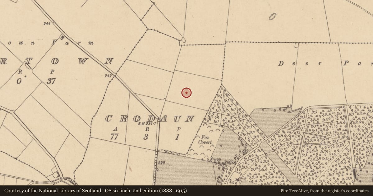 Ordnance Survey six-inch map, 2nd edition (1888–1915) covering the location of Burial, Crodaun, County Kildare, with a pin at the register's coordinates