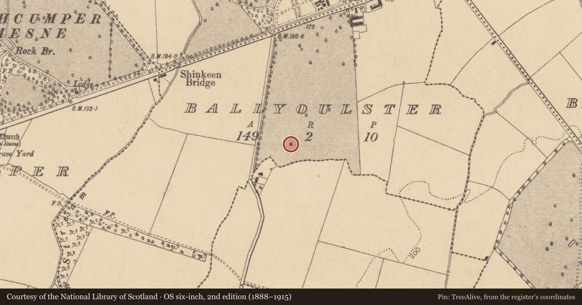 Ordnance Survey six-inch map, 2nd edition (1888–1915) covering the location of Enclosure, Ballyoulster, County Kildare, with a pin at the register's coordinates