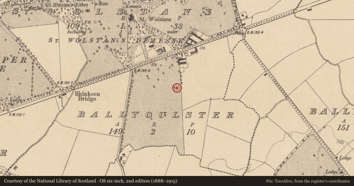Ordnance Survey six-inch map, 2nd edition (1888–1915) covering the location of Ring-ditch, Ballyoulster, County Kildare, with a pin at the register's coordinates