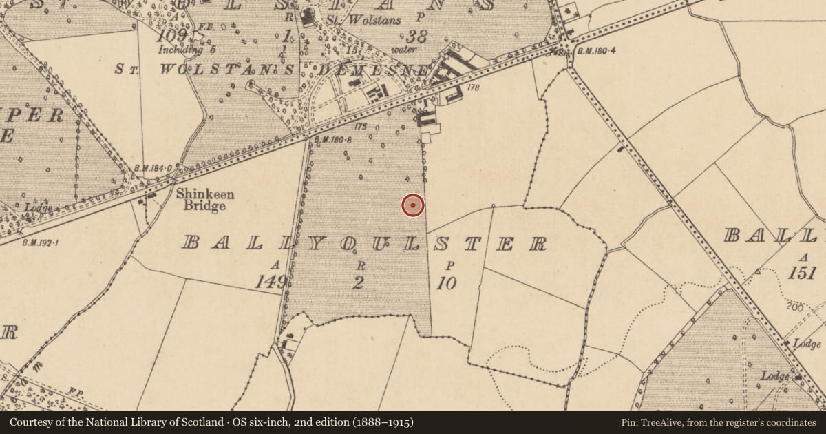 Ordnance Survey six-inch map, 2nd edition (1888–1915) covering the location of Ring-ditch, Ballyoulster, County Kildare, with a pin at the register's coordinates