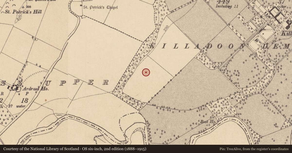 Ordnance Survey six-inch map, 2nd edition (1888–1915) covering the location of Enclosure, Killadoon, County Kildare, with a pin at the register's coordinates