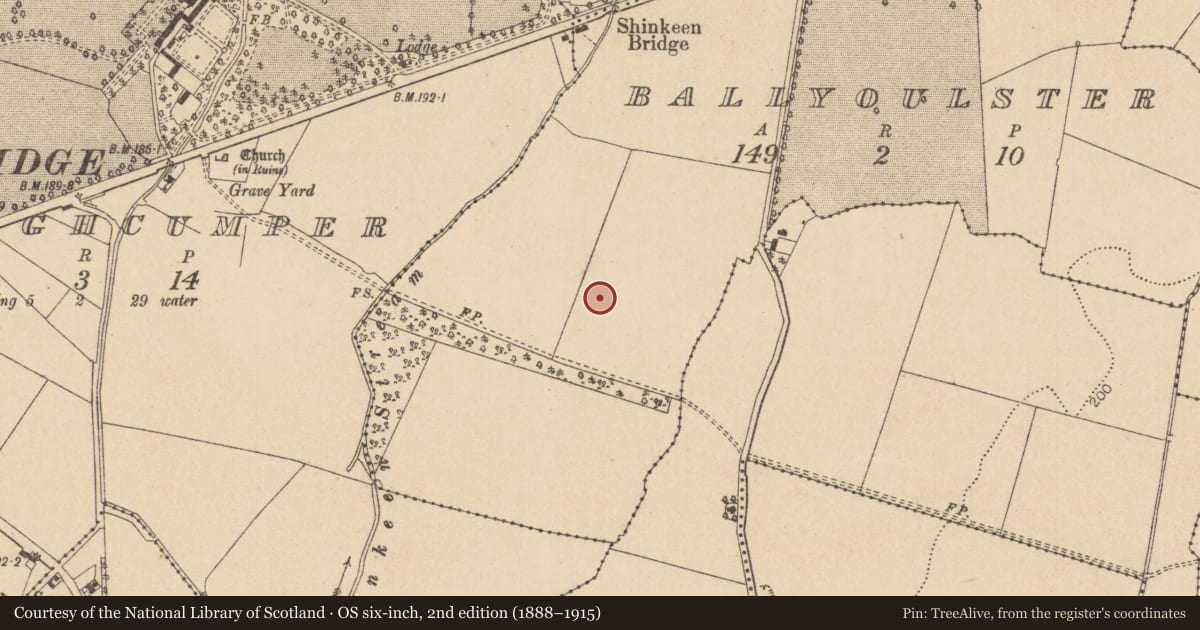 Ordnance Survey six-inch map, 2nd edition (1888–1915) covering the location of Ring-ditch, Ballyoulster, County Kildare, with a pin at the register's coordinates