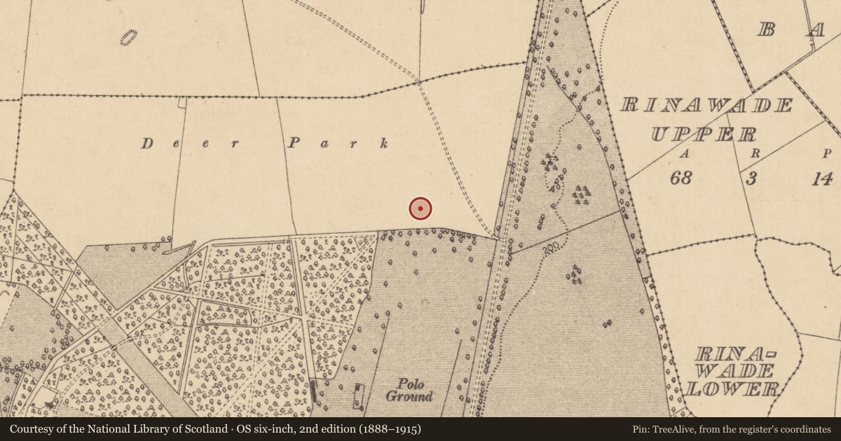 Ordnance Survey six-inch map, 2nd edition (1888–1915) covering the location of Ring-ditch, Castletown, County Kildare, with a pin at the register's coordinates