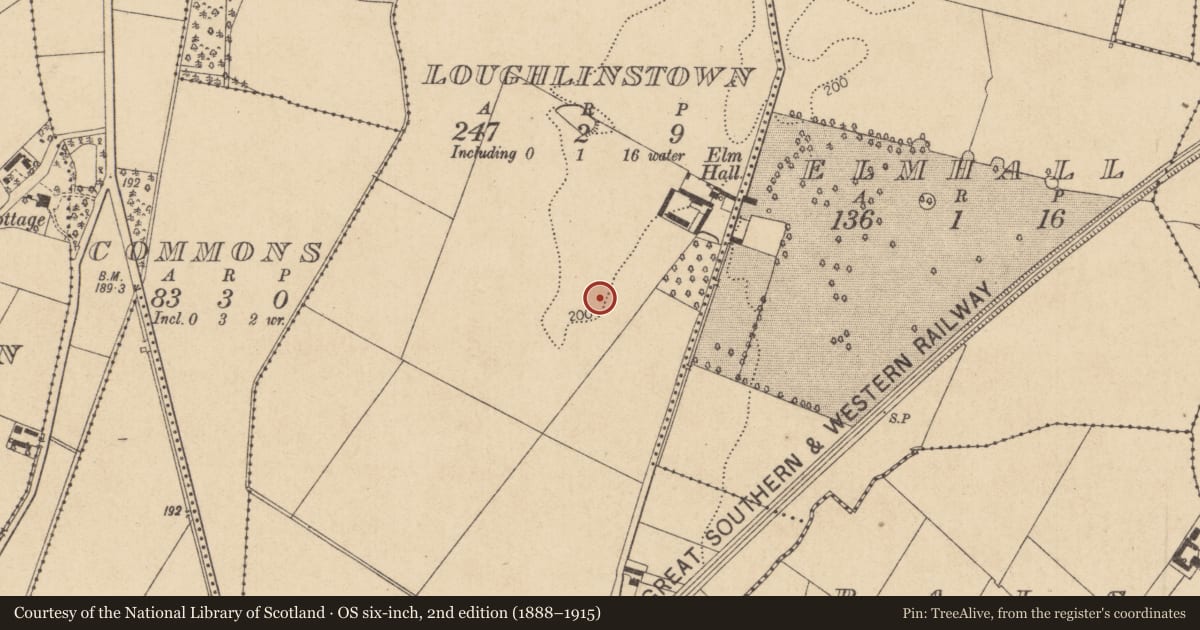 Ordnance Survey six-inch map, 2nd edition (1888–1915) covering the location of Enclosure, Loughlinstown, County Kildare, with a pin at the register's coordinates