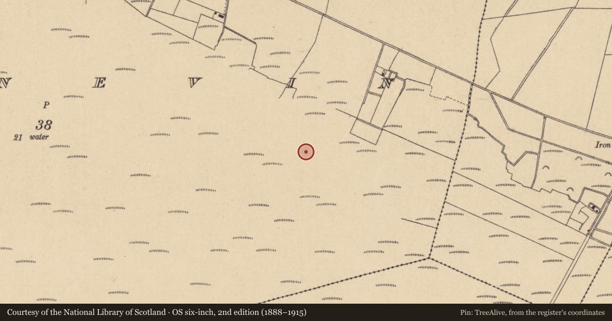 Ordnance Survey six-inch map, 2nd edition (1888–1915) covering the location of Road - class 1 togher, Derrybrennan, Ticknevin, County Kildare, with a pin at the register's coordinates