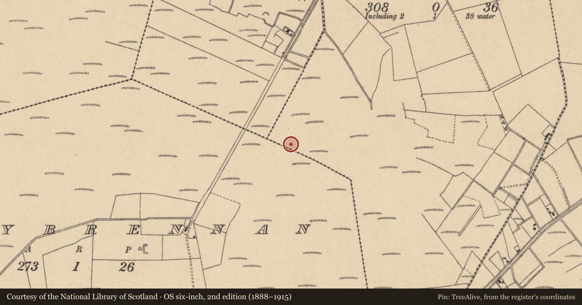Ordnance Survey six-inch map, 2nd edition (1888–1915) covering the location of Road - gravel/stone trackway - peatland, Derrybrennan, Ballybrack, County Kildare, with a pin at the register's coordinates