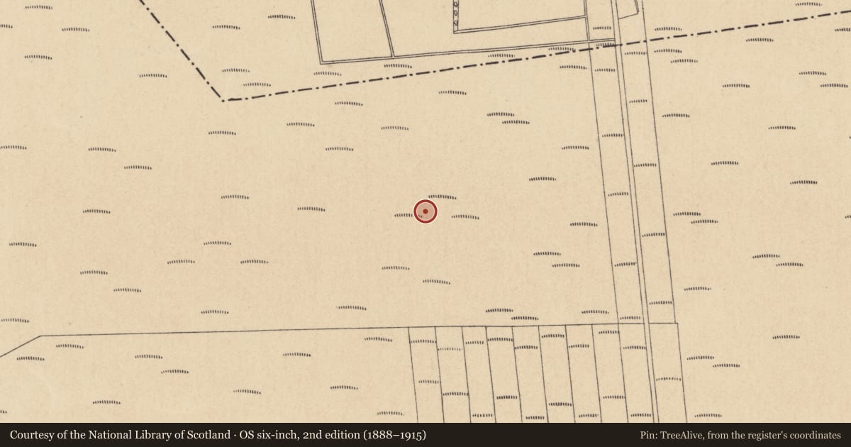 Ordnance Survey six-inch map, 2nd edition (1888–1915) covering the location of Road - class 1 togher, Lullymore West, Derrybrennan, County Kildare, with a pin at the register's coordinates