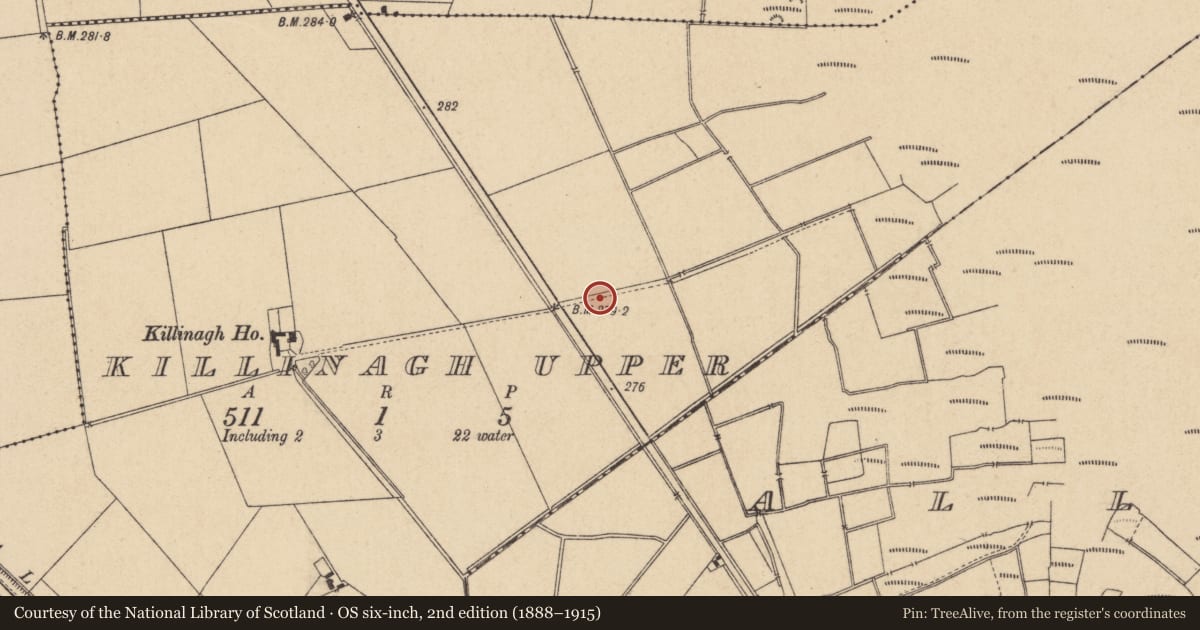 Ordnance Survey six-inch map, 2nd edition (1888–1915) covering the location of Moated site, Killinagh Upper, County Kildare, with a pin at the register's coordinates