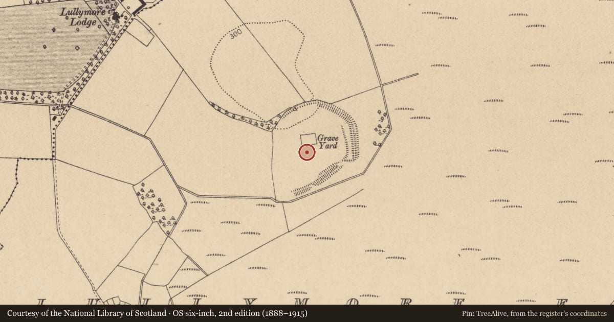 Ordnance Survey six-inch map, 2nd edition (1888–1915) covering the location of Ecclesiastical site, Lullymore East, County Kildare, with a pin at the register's coordinates