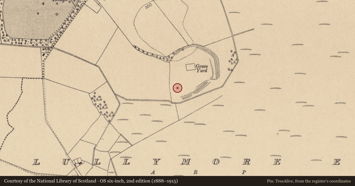 Ordnance Survey six-inch map, 2nd edition (1888–1915) covering the location of Enclosure, Lullymore East, County Kildare, with a pin at the register's coordinates