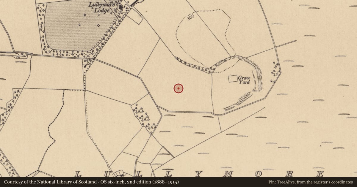 Ordnance Survey six-inch map, 2nd edition (1888–1915) covering the location of Field system, Lullymore East, County Kildare, with a pin at the register's coordinates