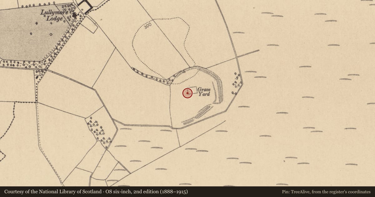 Ordnance Survey six-inch map, 2nd edition (1888–1915) covering the location of Cross-inscribed stone, Lullymore East, County Kildare, with a pin at the register's coordinates