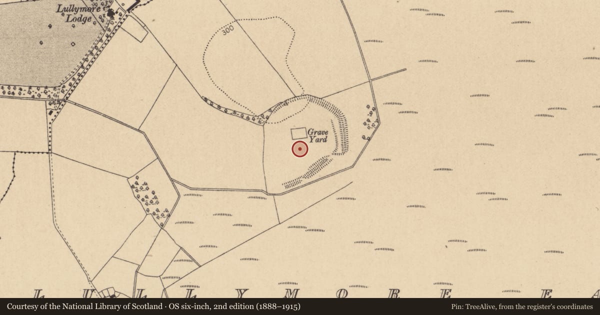Ordnance Survey six-inch map, 2nd edition (1888–1915) covering the location of Cross-inscribed stone, Lullymore East, County Kildare, with a pin at the register's coordinates