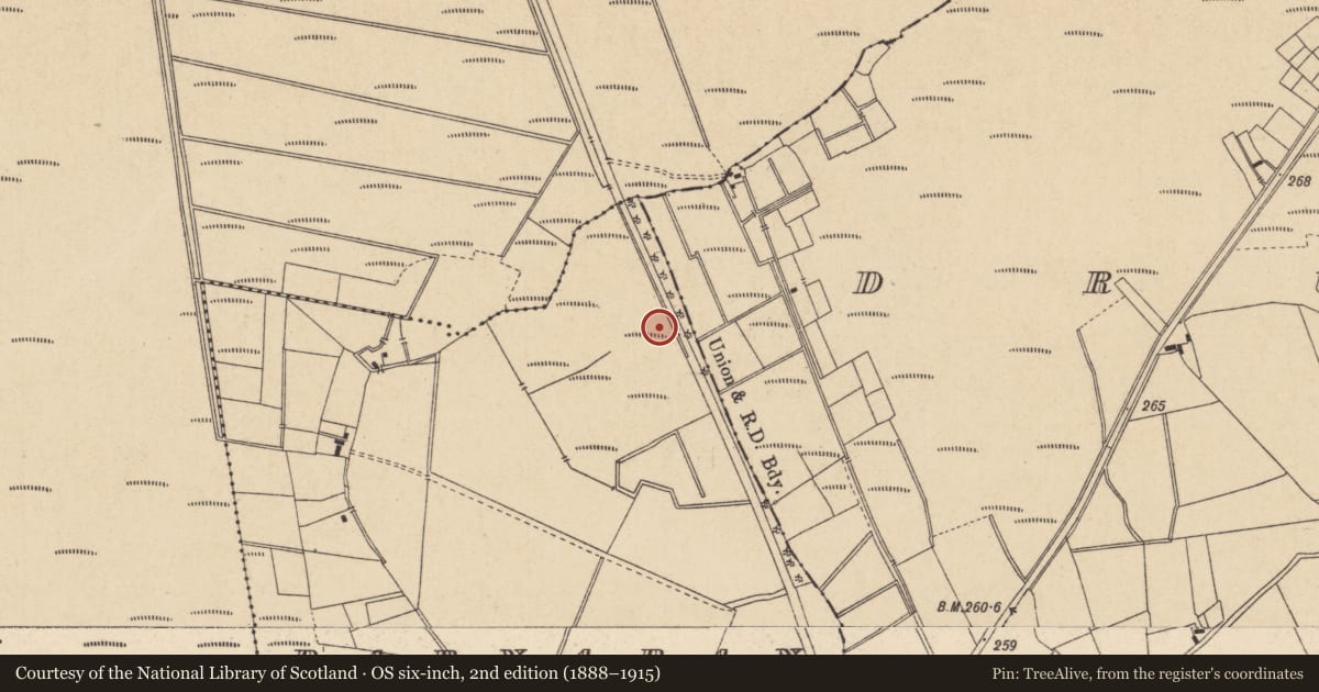 Ordnance Survey six-inch map, 2nd edition (1888–1915) covering the location of Road - gravel/stone trackway - peatland, Barnaran, County Kildare, with a pin at the register's coordinates