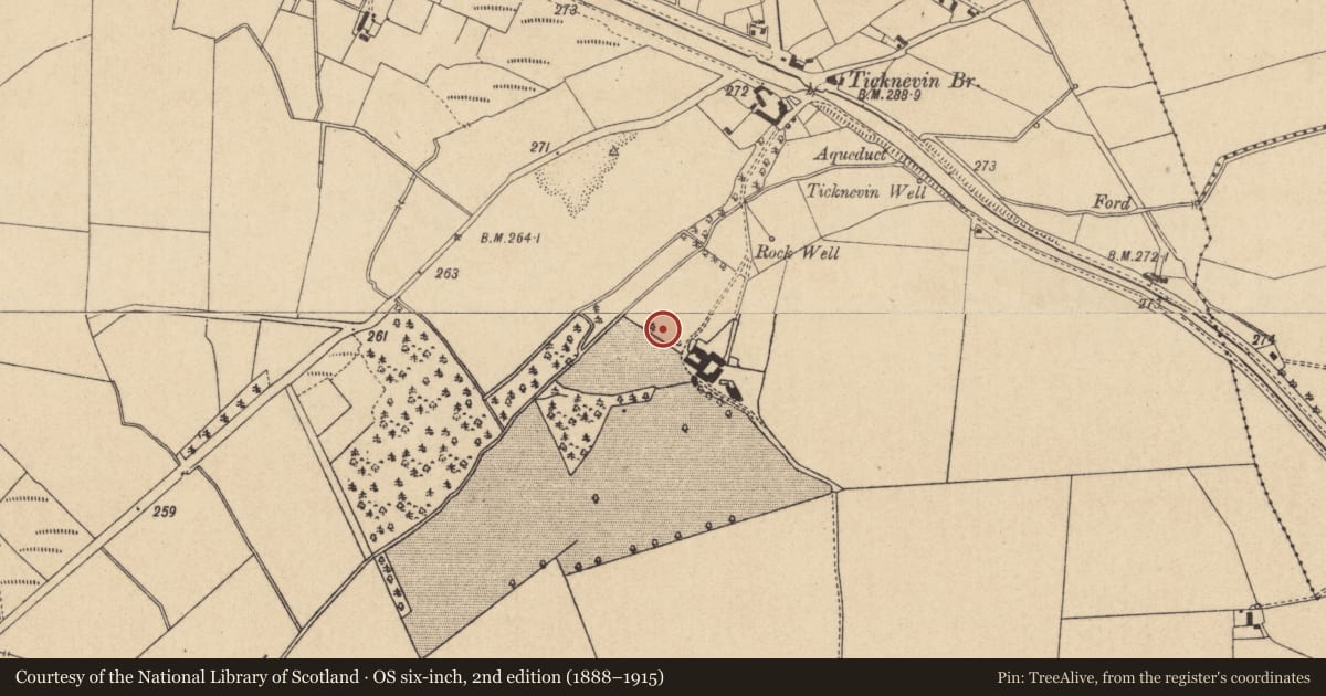 Ordnance Survey six-inch map, 2nd edition (1888–1915) covering the location of Bullaun stone, Ticknevin, County Kildare, with a pin at the register's coordinates